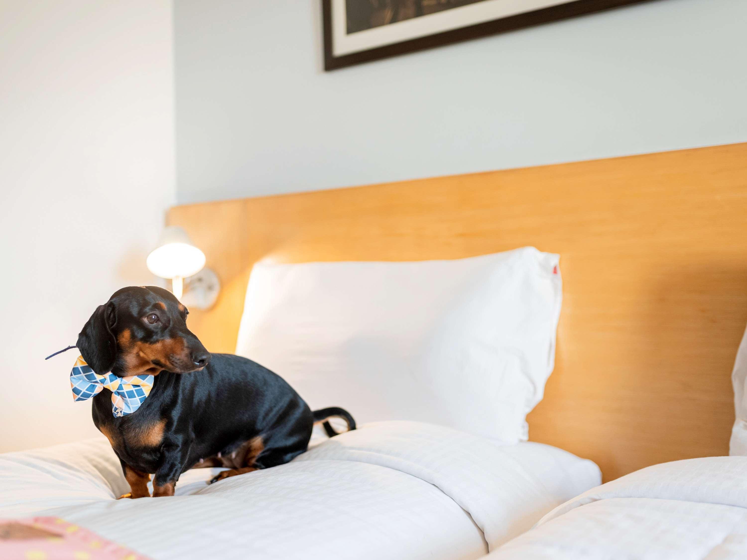 Ibis Gurgaon Golf Course Road - An Accor Brand Hotell Exteriör bild