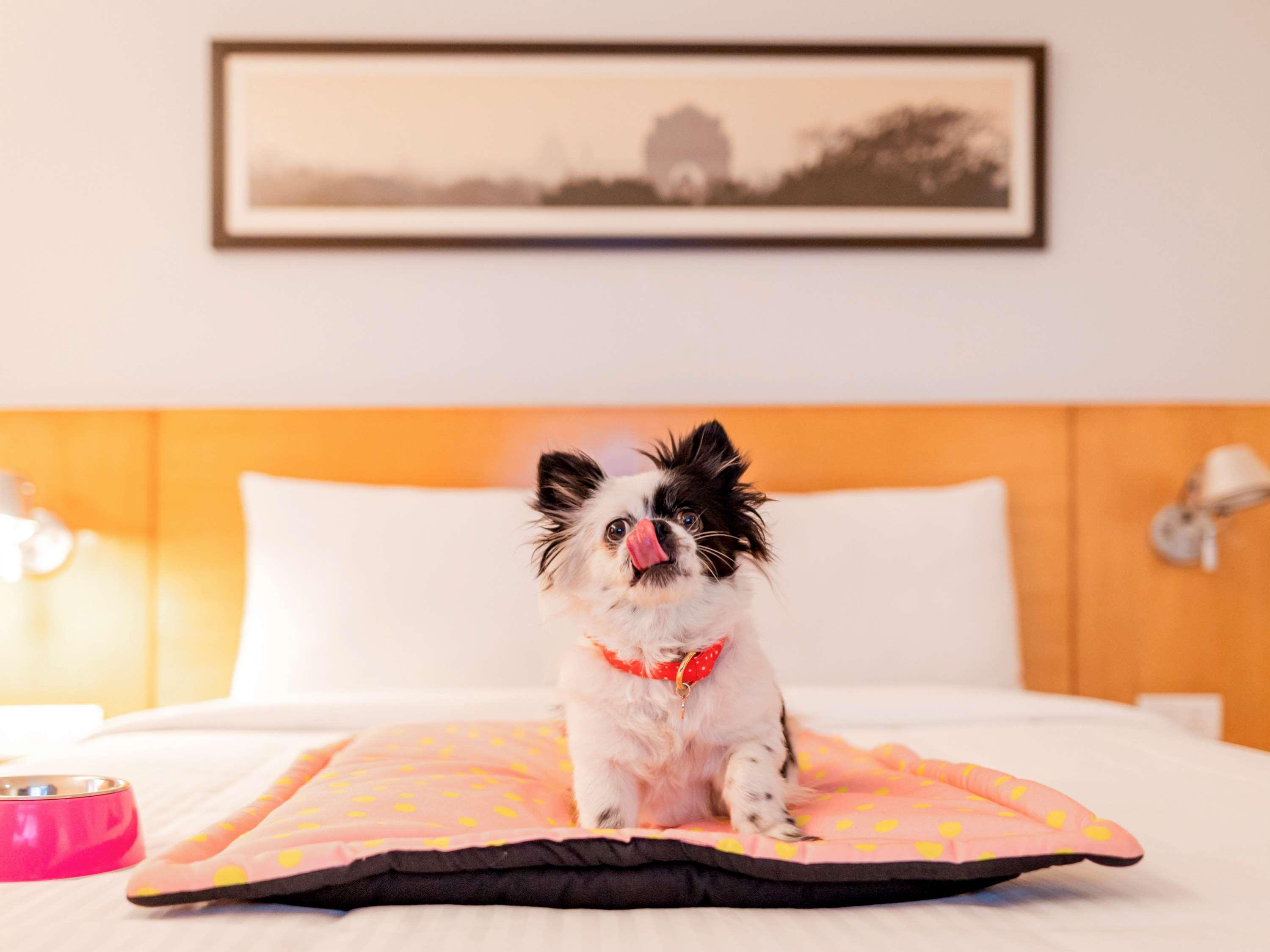 Ibis Gurgaon Golf Course Road - An Accor Brand Hotell Exteriör bild