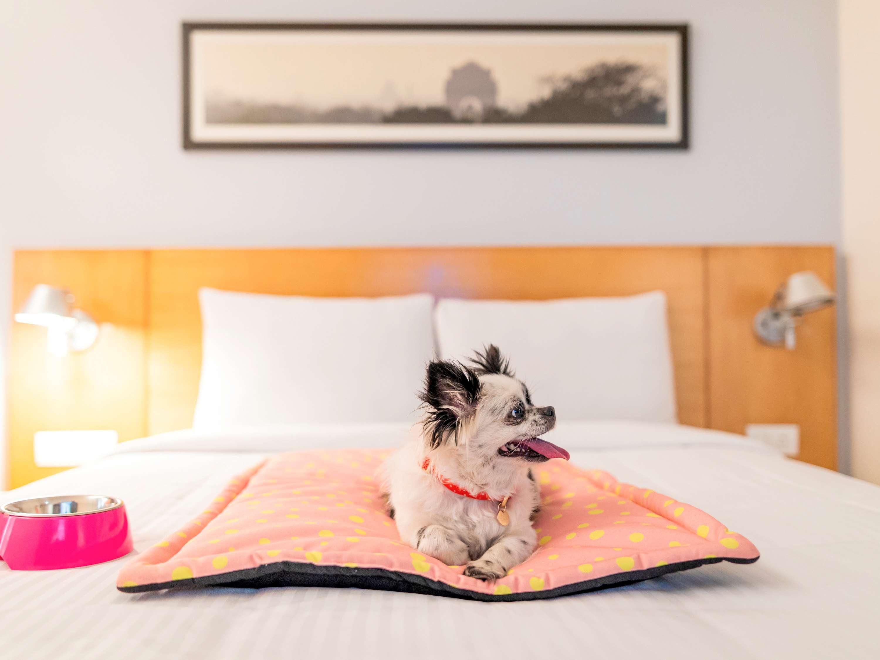 Ibis Gurgaon Golf Course Road - An Accor Brand Hotell Exteriör bild